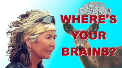 Where’s Your Brains?