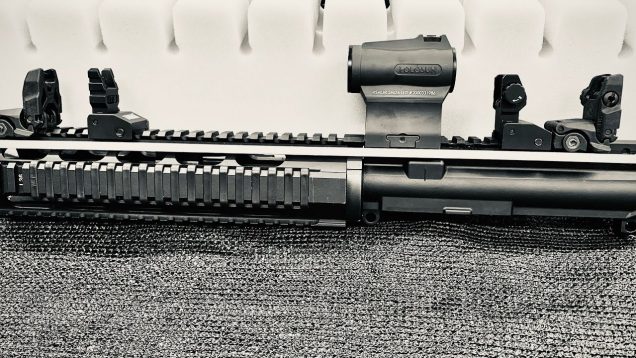 Back Up sights (Optional?)