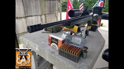 My First Time: Sako TRG22 What Can You Tell Me About It?