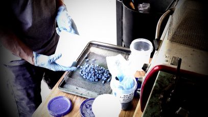 POWDERCOATING PROJECTILES