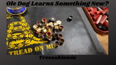 Did this Ole Dog Learn Something New?