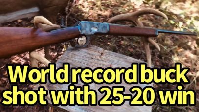 World Record Deer got with 25-20 WCF?