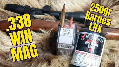 .338 Win Mag Barnes 250gr LRX Review