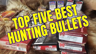 Top Five Best Hunting Bullets