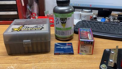 243 Win 90g ELD-X SW4350