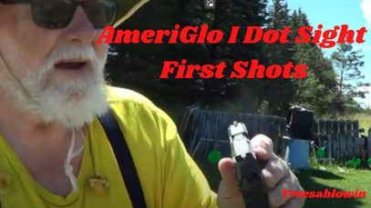 First Shots with AmeriGlo I Dot Sights-treesablowin