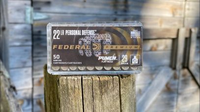 Federal Punch .22lr range review