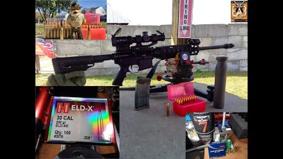I Am Coming Out: 308 Subsonic AR10 vs AR15 300 Blackout 200gr Hornady ELD-X