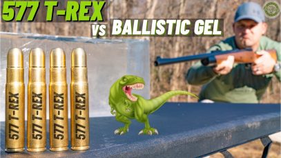 577 Tyrannosaur vs Ballistic Gel !!! 🦖