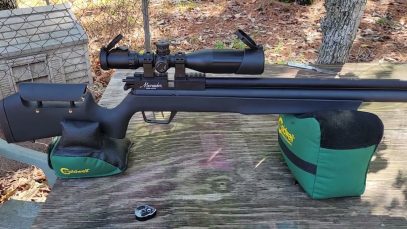 Semi Auto Marauder Pellet Testing