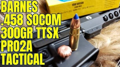 .458 Socom 300gr Barnes TTSX Pro2a Tactical Review