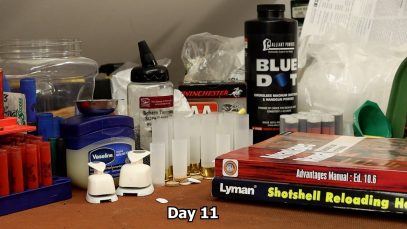 Day 11
