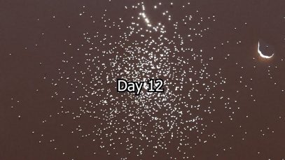 Day 12
