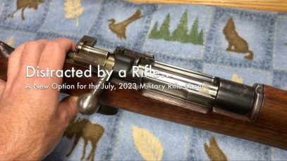 WCChapin | Distracted by a Rifle… |  A New Option for the July, 2023 Military Rifle Shoot