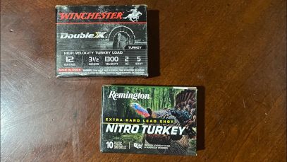 Magnum shells a must for Turkey hunting?