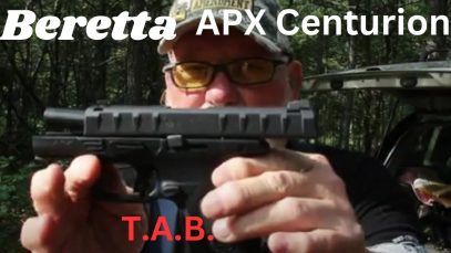 Beretta APX Centurion