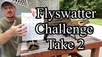 Flyswatter Challenge Take 2