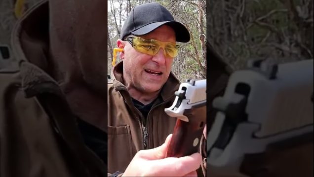 Sig P226 “Talo Exclusive”