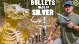 WEREWOLF DEFENSE!!! (Pure Silver 50 BMG, 500 S&W, 12 Gauge & More) 20 WEREWOLF DEFENSE!!! (Pure Silver 50 BMG, 500 S&W, 12 Gauge & More)