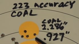 223 Rem COAL For Accuracy Determined