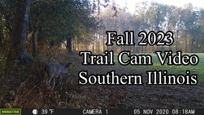 Fall 2023 Trail Cam Video (Southern Illinois)