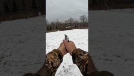 Colt King Cobra Target 22 Double Action Plinking 16 Colt King Cobra Target 22 Double Action Plinking