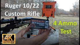 Green Mountain 24in Ruger 10 22 Epic Ammo Test  #22lr #rifle #build #ruger  #custom #diy