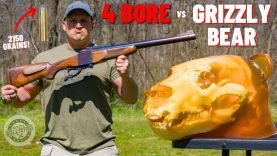 4 BORE Rifle vs Grizzly Bear 🐻 (The Biggest Rifle Ever !!!) 15 4 BORE Rifle vs Grizzly Bear 🐻 (The Biggest Rifle Ever !!!)