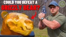 Could You Defeat A GRIZZLY BEAR ??? 7 Could You Defeat A GRIZZLY BEAR ???