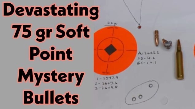 Devastating 75 grain Soft Point Mystery Bullet