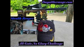 Stealth Reaper: Ruger 10/22: All Guts No Glory Dayattherange.com Challenge