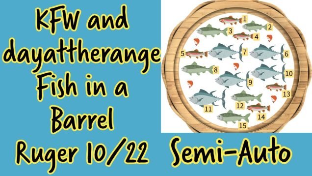 Fish in a Barrel – Day at the Range – Semi-Auto