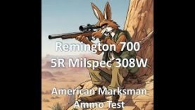 Remington 700 5R Mil Spec 308W -American Marksman Ammo Test