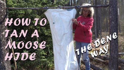 Scraping Moose Hides and Tanning – The DENE THA’ WAY
