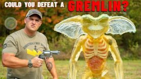 Could You Defeat A GREMLIN ??? (4 BORE, 500 Magnum, 10 Gauge & More!) 16 Could You Defeat A GREMLIN ??? (4 BORE, 500 Magnum, 10 Gauge & More!)