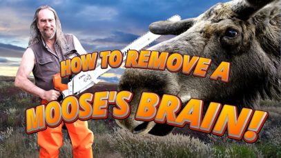 How To REMOVE A Moose’s Brain! (4K)