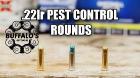 Which .22lr SHOTSHELL is best? Pest Control Showdown 4 IMG_3977