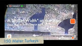 A "Bullet Width" at the Top... | Target Camera View of IHMSA Big Bore Silhouette 11 A “Bullet Width” at the Top… | Target Camera View of IHMSA Big Bore Silhouette