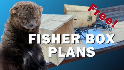 How To Make FISHER Boxes For Trapping – FREE Plans! (4K)