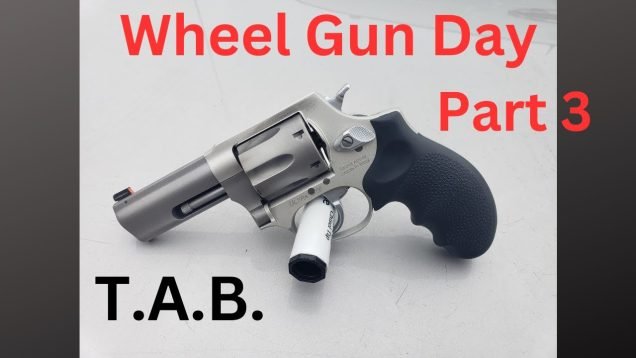 Wheel Gun Day Part 3 Taurus Defender 856
