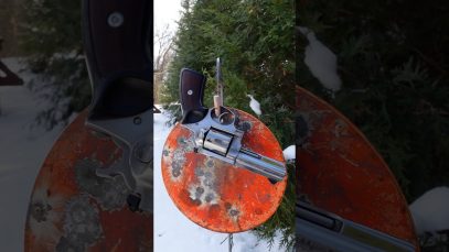 Ruger GP100 General Purpose Revolver