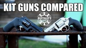 S&W 317 KIT GUN and Ruger LCRx 22 Compared 18 IMG_4160