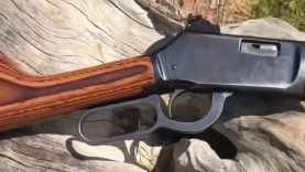 22 Lever action challenge