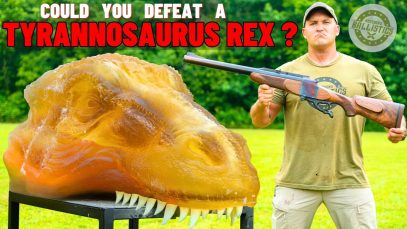 Could You Defeat A TYRANNOSAURUS REX ?