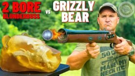 2 BORE Blunderbuss vs GRIZZLY BEAR 🐻 12 2 BORE Blunderbuss vs GRIZZLY BEAR 🐻