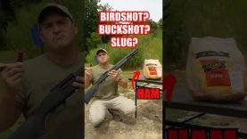 What Shotgun Load Is Best For Home Defense? 10 What Shotgun Load Is Best For Home Defense?