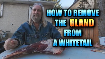 Deer Hunters: Don’t Skip This Step! Removing the Leg Gland to Prevent Tainted Meat (4K)