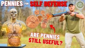 Penny Self Defense Techniques (Are Pennies Still Useful ???) 20 Penny Self Defense Techniques (Are Pennies Still Useful ???)