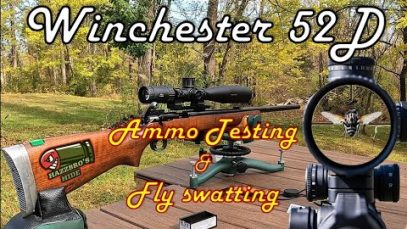 Winchester 52D CMP Surplus: 22LR Accuracy & Fly Swatting at 50 Yards